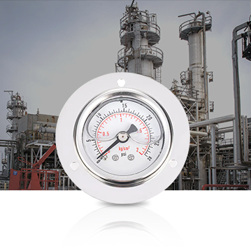 Petrolkémiai ipar Pressure Gauges