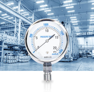 Ipari termelési ipar Pressure Gauges